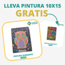 🎨PINTURA DIAMANTE 5D - ¿Por qué pintar con colores cuando puedes pintar con diamantes?