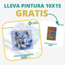 🎨PINTURA DIAMANTE 5D - ¿Por qué pintar con colores cuando puedes pintar con diamantes?