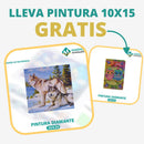 🎨PINTURA DIAMANTE 5D - ¿Por qué pintar con colores cuando puedes pintar con diamantes?