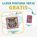 🎨PINTURA DIAMANTE 5D - ¿Por qué pintar con colores cuando puedes pintar con diamantes?