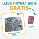 🎨PINTURA DIAMANTE 5D - ¿Por qué pintar con colores cuando puedes pintar con diamantes?