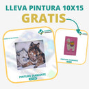 🎨PINTURA DIAMANTE 5D - ¿Por qué pintar con colores cuando puedes pintar con diamantes?