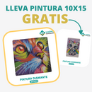 🎨PINTURA DIAMANTE 5D - ¿Por qué pintar con colores cuando puedes pintar con diamantes?