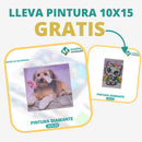 🎨PINTURA DIAMANTE 5D - ¿Por qué pintar con colores cuando puedes pintar con diamantes?