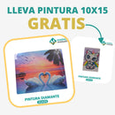 🎨PINTURA DIAMANTE 5D - ¿Por qué pintar con colores cuando puedes pintar con diamantes?