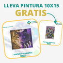 🎨PINTURA DIAMANTE 5D - ¿Por qué pintar con colores cuando puedes pintar con diamantes?