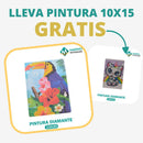 🎨PINTURA DIAMANTE 5D - ¿Por qué pintar con colores cuando puedes pintar con diamantes?