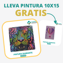 🎨PINTURA DIAMANTE 5D - ¿Por qué pintar con colores cuando puedes pintar con diamantes?