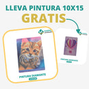 🎨PINTURA DIAMANTE 5D - ¿Por qué pintar con colores cuando puedes pintar con diamantes?