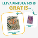 🎨PINTURA DIAMANTE 5D - ¿Por qué pintar con colores cuando puedes pintar con diamantes?