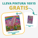 🎨PINTURA DIAMANTE 5D - ¿Por qué pintar con colores cuando puedes pintar con diamantes?