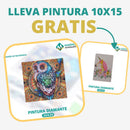 🎨PINTURA DIAMANTE 5D - ¿Por qué pintar con colores cuando puedes pintar con diamantes?