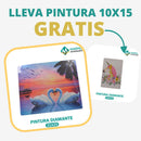 🎨PINTURA DIAMANTE 5D - ¿Por qué pintar con colores cuando puedes pintar con diamantes?