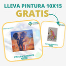 🎨PINTURA DIAMANTE 5D - ¿Por qué pintar con colores cuando puedes pintar con diamantes?