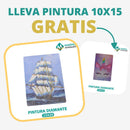 🎨PINTURA DIAMANTE 5D - ¿Por qué pintar con colores cuando puedes pintar con diamantes?