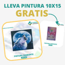 🎨PINTURA DIAMANTE 5D - ¿Por qué pintar con colores cuando puedes pintar con diamantes?