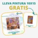 🎨PINTURA DIAMANTE 5D - ¿Por qué pintar con colores cuando puedes pintar con diamantes?