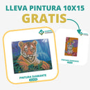 🎨PINTURA DIAMANTE 5D - ¿Por qué pintar con colores cuando puedes pintar con diamantes?