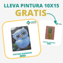 🎨PINTURA DIAMANTE 5D - ¿Por qué pintar con colores cuando puedes pintar con diamantes?