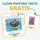 🎨PINTURA DIAMANTE 5D - ¿Por qué pintar con colores cuando puedes pintar con diamantes?