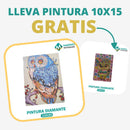 🎨PINTURA DIAMANTE 5D - ¿Por qué pintar con colores cuando puedes pintar con diamantes?