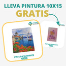 🎨PINTURA DIAMANTE 5D - ¿Por qué pintar con colores cuando puedes pintar con diamantes?