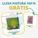 🎨PINTURA DIAMANTE 5D - ¿Por qué pintar con colores cuando puedes pintar con diamantes?