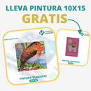 🎨PINTURA DIAMANTE 5D - ¿Por qué pintar con colores cuando puedes pintar con diamantes?