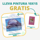 🎨PINTURA DIAMANTE 5D - ¿Por qué pintar con colores cuando puedes pintar con diamantes?