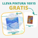 🎨PINTURA DIAMANTE 5D - ¿Por qué pintar con colores cuando puedes pintar con diamantes?