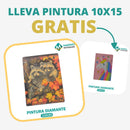 🎨PINTURA DIAMANTE 5D - ¿Por qué pintar con colores cuando puedes pintar con diamantes?