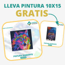 🎨PINTURA DIAMANTE 5D - ¿Por qué pintar con colores cuando puedes pintar con diamantes?