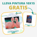 🎨PINTURA DIAMANTE 5D - ¿Por qué pintar con colores cuando puedes pintar con diamantes?