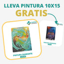 🎨PINTURA DIAMANTE 5D - ¿Por qué pintar con colores cuando puedes pintar con diamantes?