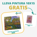 🎨PINTURA DIAMANTE 5D - ¿Por qué pintar con colores cuando puedes pintar con diamantes?