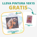 🎨PINTURA DIAMANTE 5D - ¿Por qué pintar con colores cuando puedes pintar con diamantes?