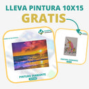 🎨PINTURA DIAMANTE 5D - ¿Por qué pintar con colores cuando puedes pintar con diamantes?