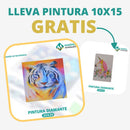 🎨PINTURA DIAMANTE 5D - ¿Por qué pintar con colores cuando puedes pintar con diamantes?