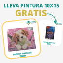 🎨PINTURA DIAMANTE 5D - ¿Por qué pintar con colores cuando puedes pintar con diamantes?