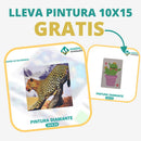 🎨PINTURA DIAMANTE 5D - ¿Por qué pintar con colores cuando puedes pintar con diamantes?