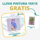 🎨PINTURA DIAMANTE 5D - ¿Por qué pintar con colores cuando puedes pintar con diamantes?