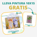 🎨PINTURA DIAMANTE 5D - ¿Por qué pintar con colores cuando puedes pintar con diamantes?