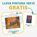 🎨PINTURA DIAMANTE 5D - ¿Por qué pintar con colores cuando puedes pintar con diamantes?