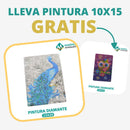 🎨PINTURA DIAMANTE 5D - ¿Por qué pintar con colores cuando puedes pintar con diamantes?