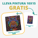 🎨PINTURA DIAMANTE 5D - ¿Por qué pintar con colores cuando puedes pintar con diamantes?