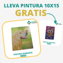 🎨PINTURA DIAMANTE 5D - ¿Por qué pintar con colores cuando puedes pintar con diamantes?