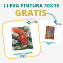 🎨PINTURA DIAMANTE 5D - ¿Por qué pintar con colores cuando puedes pintar con diamantes?