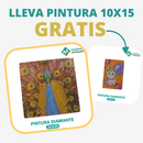 🎨PINTURA DIAMANTE 5D - ¿Por qué pintar con colores cuando puedes pintar con diamantes?