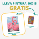 🎨PINTURA DIAMANTE 5D - ¿Por qué pintar con colores cuando puedes pintar con diamantes?