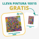 🎨PINTURA DIAMANTE 5D - ¿Por qué pintar con colores cuando puedes pintar con diamantes?